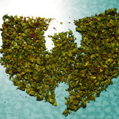 Wu-Tang OG