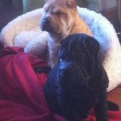 Stephanie Claire Stewart