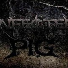 Infected_Pig_Official