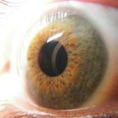 Adam Wesley Woodworth