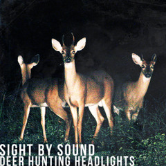 Sight By Sound