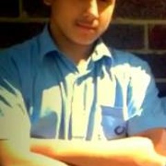 Mehmet Emin Turfik Topal