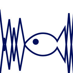 Too Noisy Fish