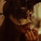 Anne-Flore Damiens