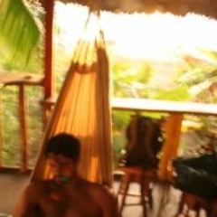 Marco Van Der Heijden