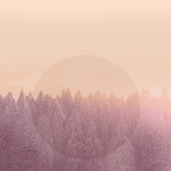 SevenPagesForHedgehog