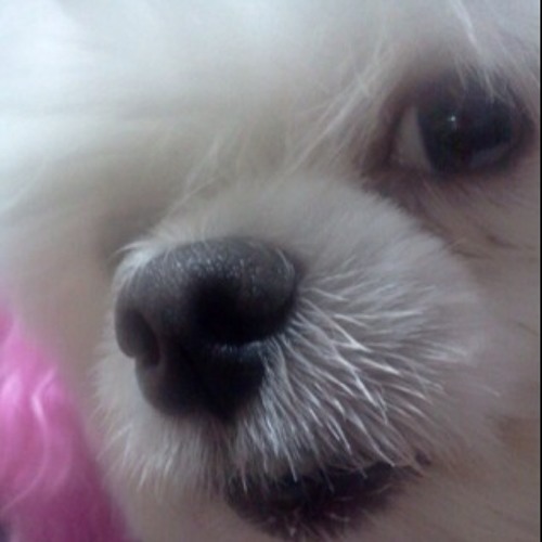 비트(힙합카페)