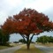 turnerpark365