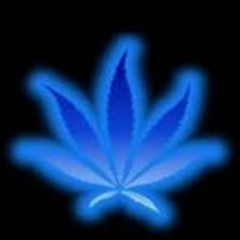 Jeremih ZigZag Quick Bear