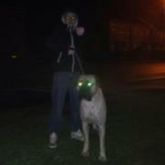 Josh Lloyd 6