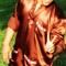 Jimmy Randolph Opsima