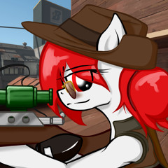Meet the Sniper