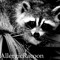 AllergicRacoon