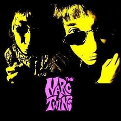 The Narc Twins