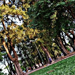 Disparos en el parque