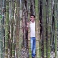 Mobin  Nomvar