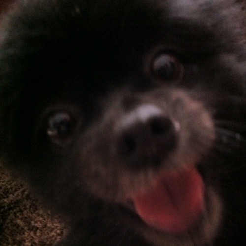 SoundCloud profile picture for @babies