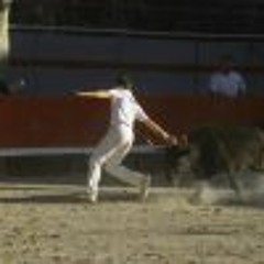Aurelien Vachou Vache