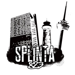 Splinta Achtzweidrei