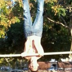 Sapir Hijacker Shemer