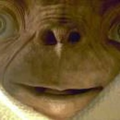 Caterina Van Pelt Colella