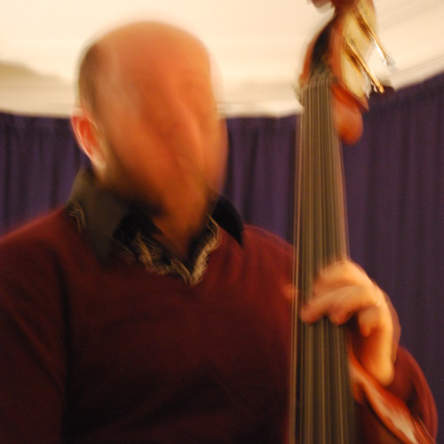 leroybasslines’s avatar