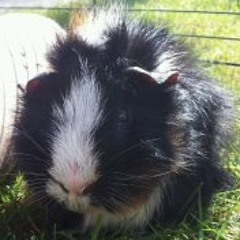 Erin Turnbull Stevenson