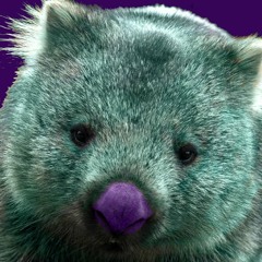 Cromwell the Wombat