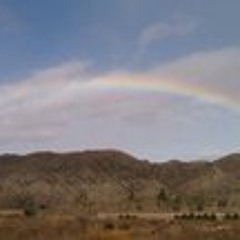 Angela Maria Piccione