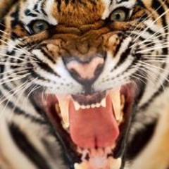 Jesseica Yeldell Cone