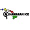 DJ Hawaiian Ice