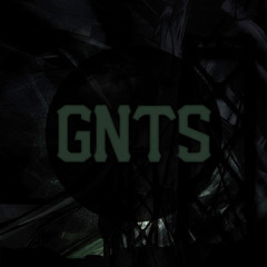 GNTS