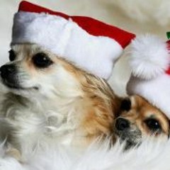 Elizabeth Sterling 2