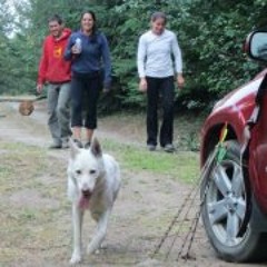 Justin Maurice Brown