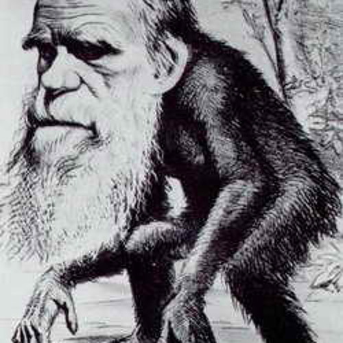 SoundCloud profile picture for @crutch