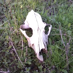 miguel mompean garcia