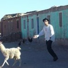 João Ricardo Andrade