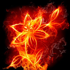 And Justice for all...