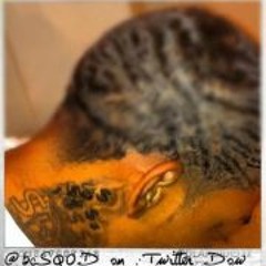 ladyp_pnd@yahoo.com
