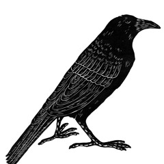 New Crow