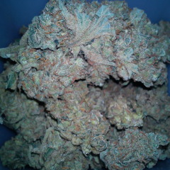 smokey-mqpot
