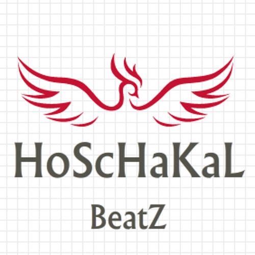 Zehir oLuyor GeceLer HoScHaKaL Beat'Z 2013