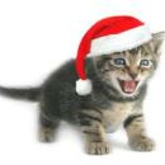 Petra Lim Kristiawan