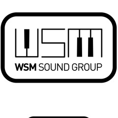 WSM SOUND GROUP
