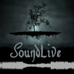 The SoundLive