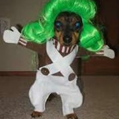 Alan Brain