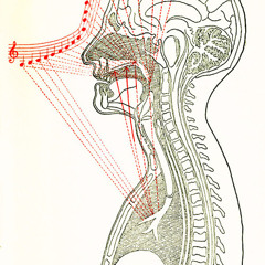 David and his guitar