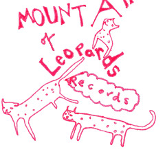 MountainofLeopards