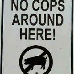 Kenneth Kamper Andersen