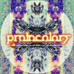 protocolors